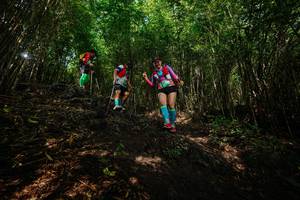 BIB: 
                            <button type="button" onclick="openModal(25093883)" class="btn btn-primary btn-sm float-right btn-popup" data-toggle="modal" data-target=".modal-high-quality">
                        <i class="fas fa-shopping-cart"></i> Add to Cart
                    </button>
                                            <button type="button" onclick="isThisMe(25093883, true)" class="btn btn-success btn-sm float-right btn-popup btn-isme hidden" data-toggle="tooltip" data-placement="bottom" title="นี่คือรูปของคุณใช่ไหม คลิกที่นี่เพื่อเอาเข้าอัลบั้ม">
                        <i class="fas fa-plus"></i> Add to album
                    </button>
                    <button type="button" onclick="isThisMe(25093883, false)" class="btn btn-warning btn-sm float-right btn-popup btn-isnotme hidden">
                        <i class="fas fa-ban"></i> Remove from album
                    </button>